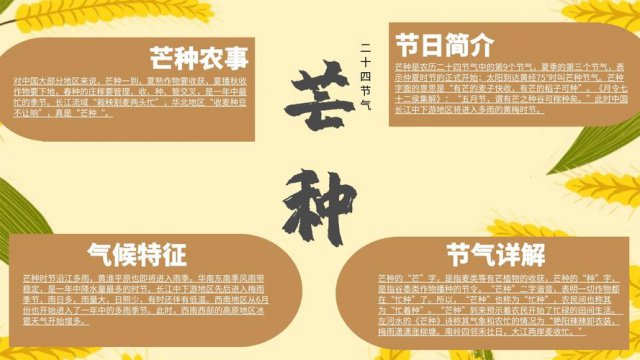 芒種節氣的含義，有芒的麥子快收.有芒的稻子可種