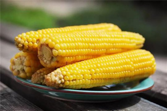 煮玉米需要多長(zhǎng)時(shí)間