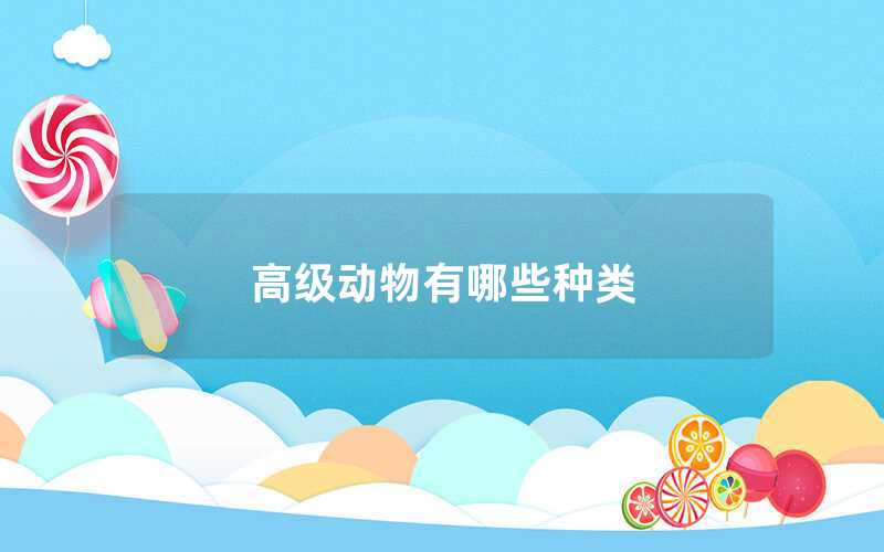 高級(jí)動(dòng)物有哪些種類