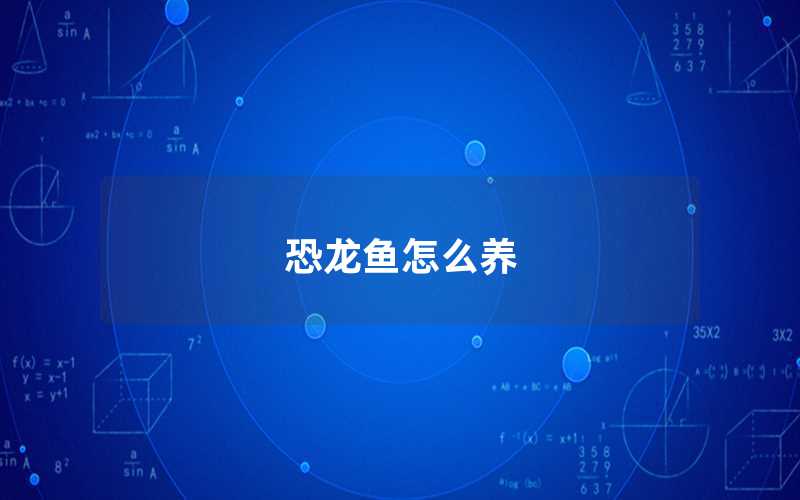恐龍魚(yú)怎么養(yǎng)