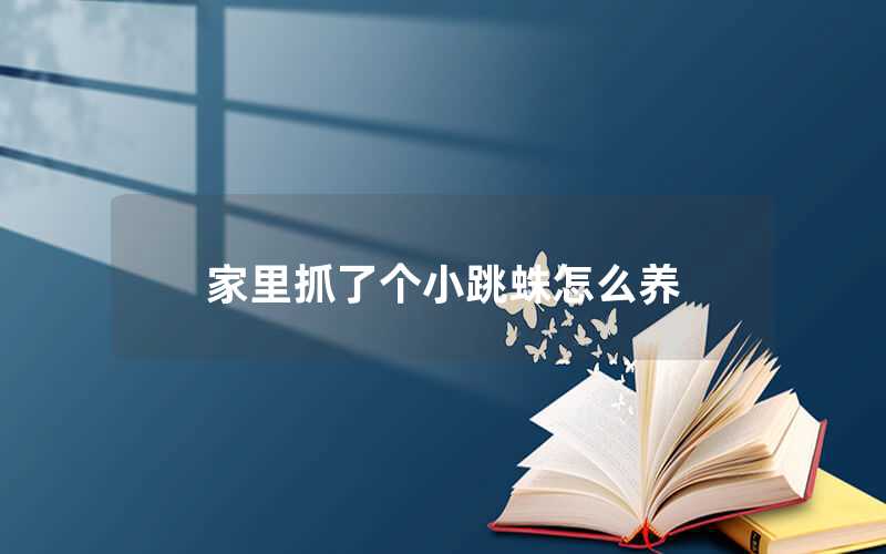 家里抓了個小跳蛛怎么養(yǎng)