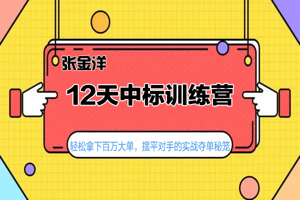 張金洋-12天中標訓練營-輕松拿下百萬大單，擺平對手的實戰奪單秘籠