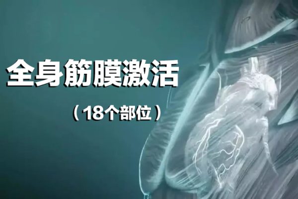 全身筋膜激活（18個(gè)部位）