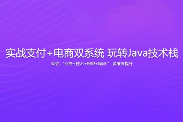 實戰支付+電商雙系統 玩轉Java技術棧