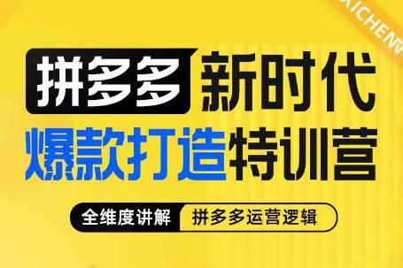 推易拼多多VIP全套直播課程，拼多多店鋪實操玩法+實戰玩法選款內功+直通車高階等