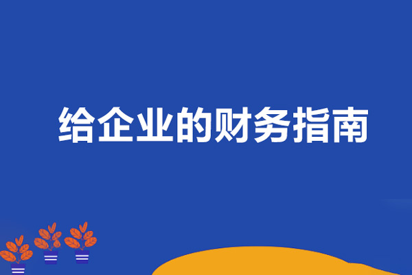 李薇薇給企業(yè)的財務指南
