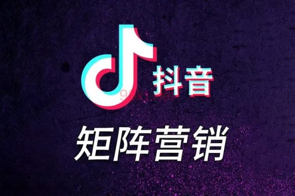 抖音矩陣實戰(zhàn)課程：新手從0到100萬粉絲，全套抖音變現(xiàn)實操