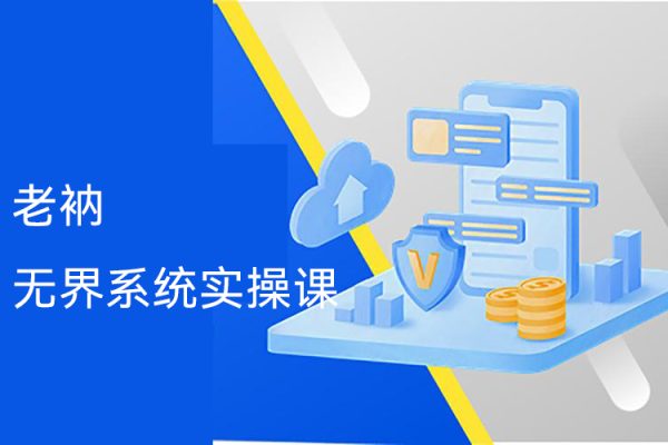 老衲·無界系統(tǒng)實(shí)操課，全體系落地?zé)o界改版后選擇、出價、高投產(chǎn)做付費(fèi)引流