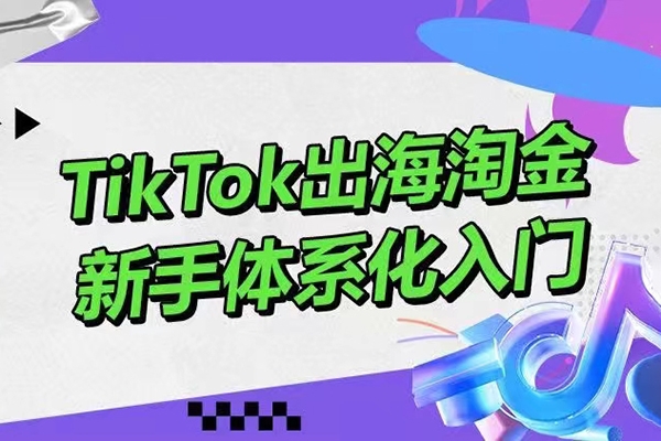 大彬TikTok出海淘金，新手體系化入門，零基礎(chǔ)快速入門，掌握短視頻、直播帶貨等引流到變現(xiàn)的知識