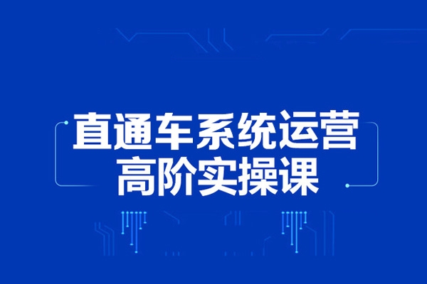 2024無界直通車系統實操課程，帶你學會萬相無界關鍵詞推廣，4.0升級版，系統化課程 理論+實操
