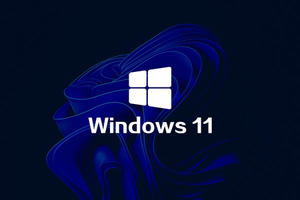 Win11 22H2 X64純凈專業輕簡&完整版
