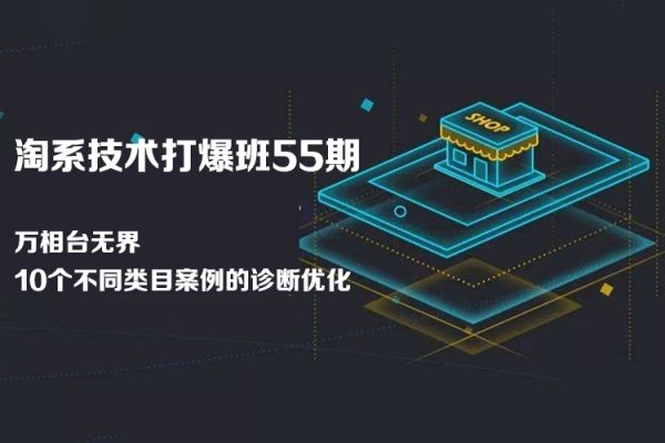 淘系打爆班55期技術(shù)：萬相臺(tái)無界10個(gè)不同類目案例的診斷優(yōu)化(10節(jié))