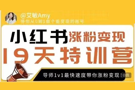 艾敏19天小紅書漲粉變現(xiàn)特訓(xùn)營