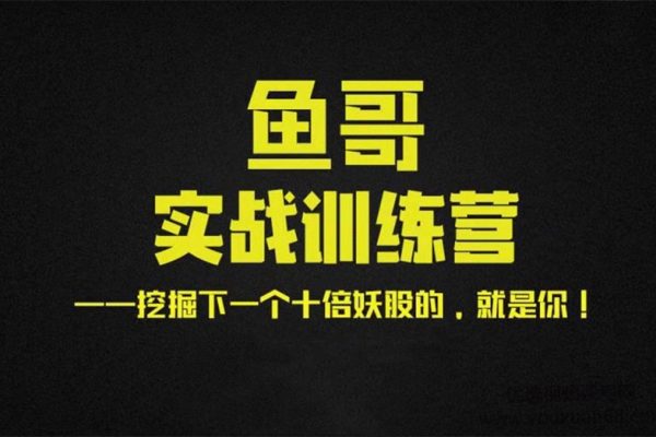 魚哥實戰超短訓練營視頻+講義