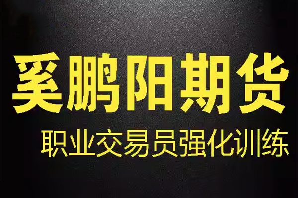 奚鵬陽(yáng)期貨課程 職業(yè)交易員強(qiáng)化訓(xùn)練營(yíng) 買賣核心技術(shù)視頻全套