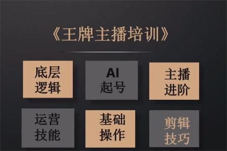 帶你起號(hào)運(yùn)營(yíng)型主播培訓(xùn)課AI起號(hào)，底層邏輯/ai起號(hào)/運(yùn)營(yíng)晉級(jí)/主播進(jìn)階/基礎(chǔ)操作/剪輯技巧