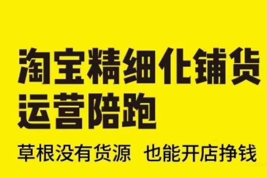 淘寶精細(xì)化鋪貨運(yùn)營陪跑(部分更新至2025)，草根沒有貨源 也能開店掙錢