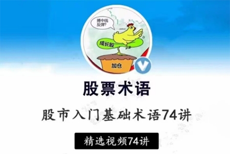 張一山-炒股基礎(chǔ)入門股市基礎(chǔ)術(shù)語精講74集