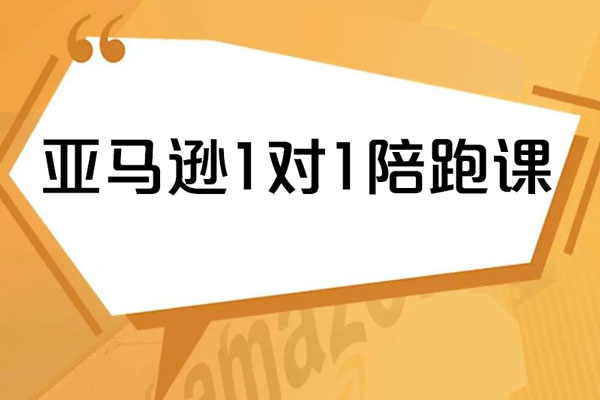亞馬遜1對(duì)1陪跑課(FBA/FBM精鋪)跨境亞馬遜教程
