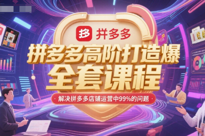 大海-拼多多高階打造爆款全套課程