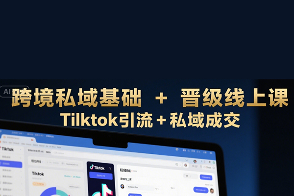 跨境私域基礎(chǔ)+晉級線上課，Tilktok引流+私域成交