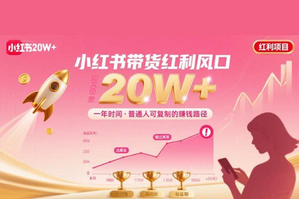 一年時(shí)間靠小紅書(shū)帶貨項(xiàng)目年入20w+，最不能錯(cuò)的大紅利項(xiàng)目