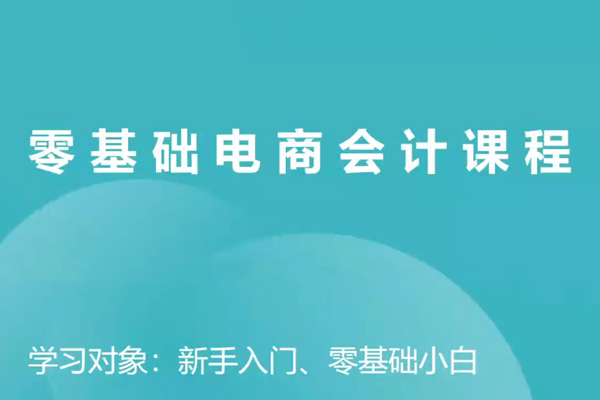 電商財務零基礎入門，基礎認知+基礎實操+進階突破，輕松掌握